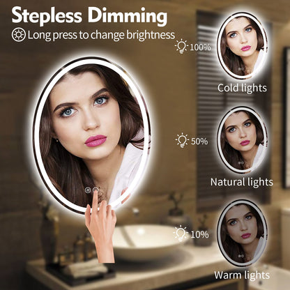 LED Frameless Oval Lighted Mirror